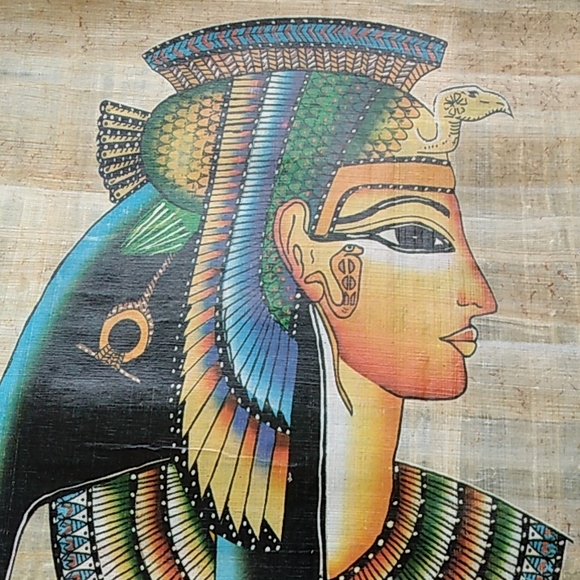 Large papayrus ! - Picture 8 of 8